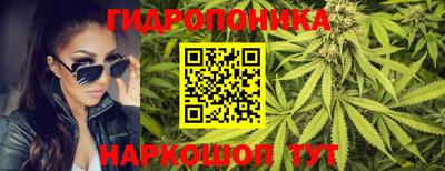 гидра Каменск-Шахтинский