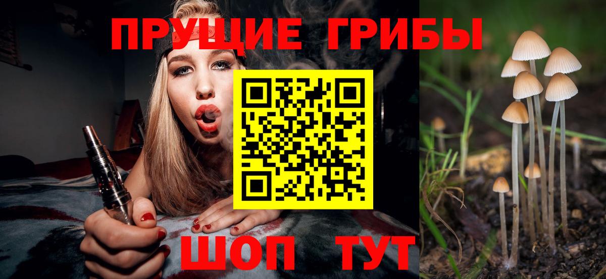 Псилоцибиновые грибы GOLDEN TEACHER  Вход с VPN  Миллерово 